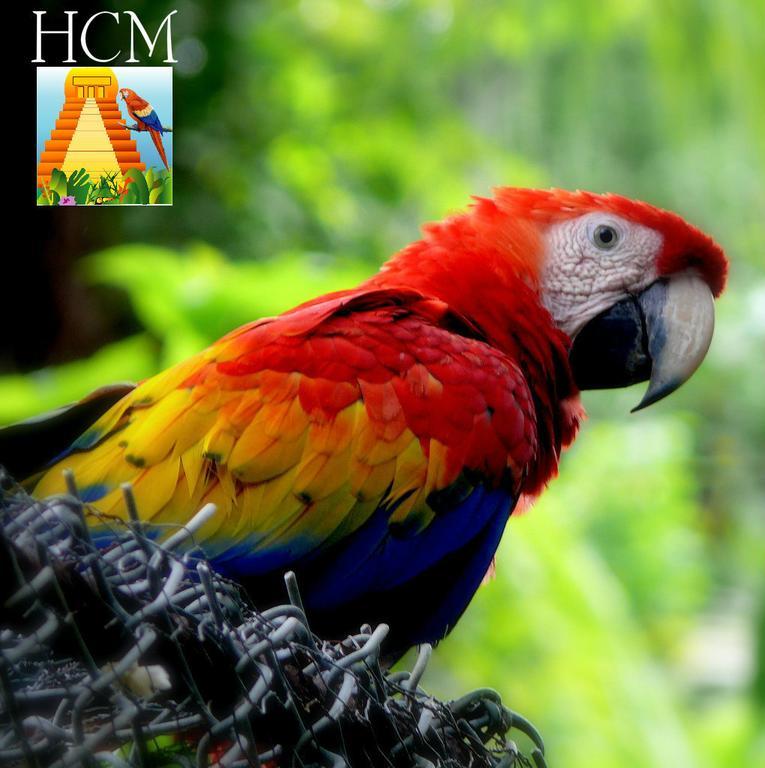 Hotel Ciudad Blanca Copan Екстер'єр фото